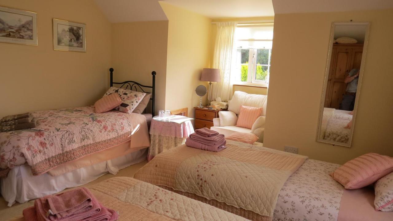 Tyreda Bed and Breakfast Ennis Buitenkant foto