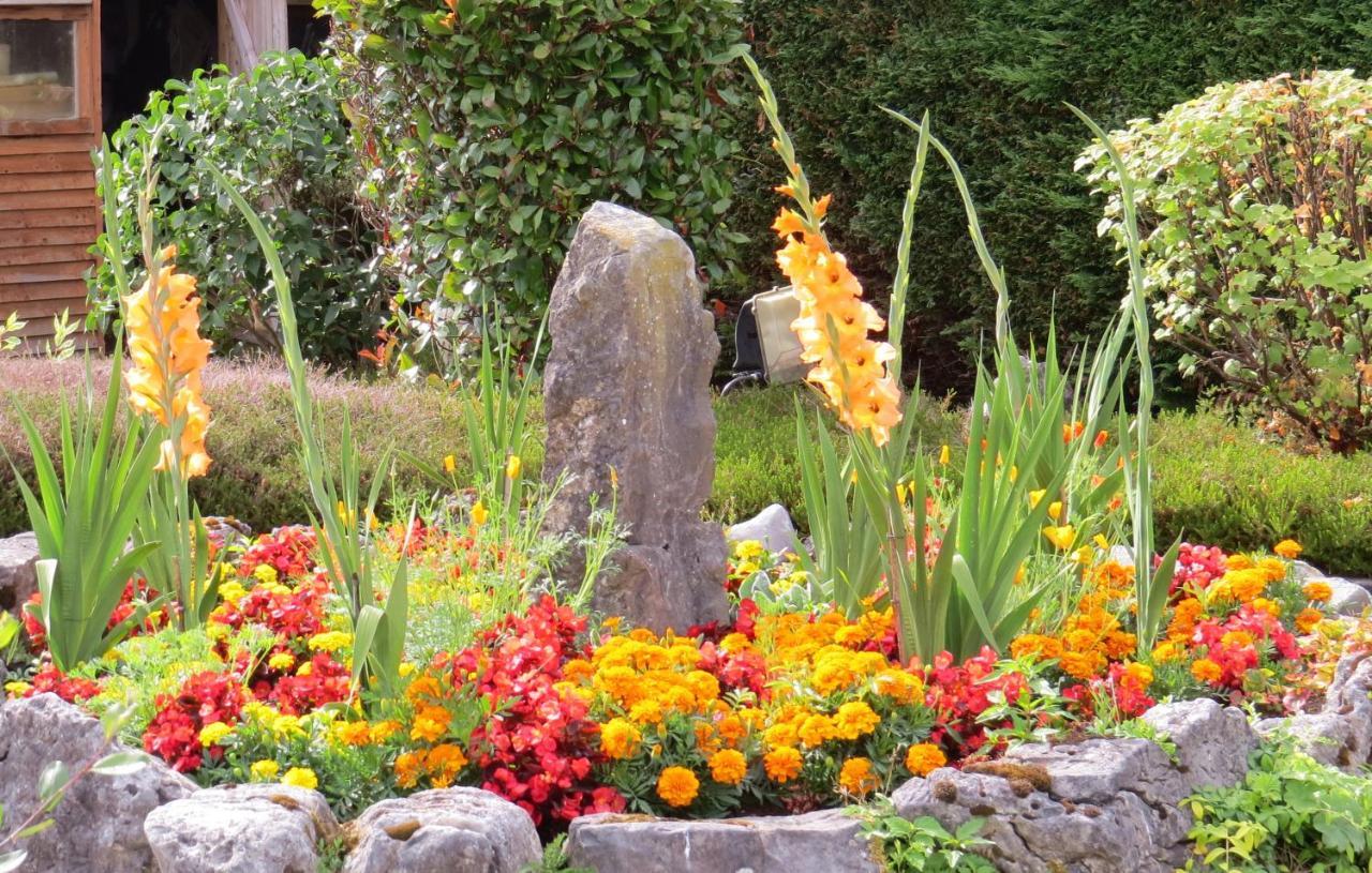 Tyreda Bed and Breakfast Ennis Buitenkant foto